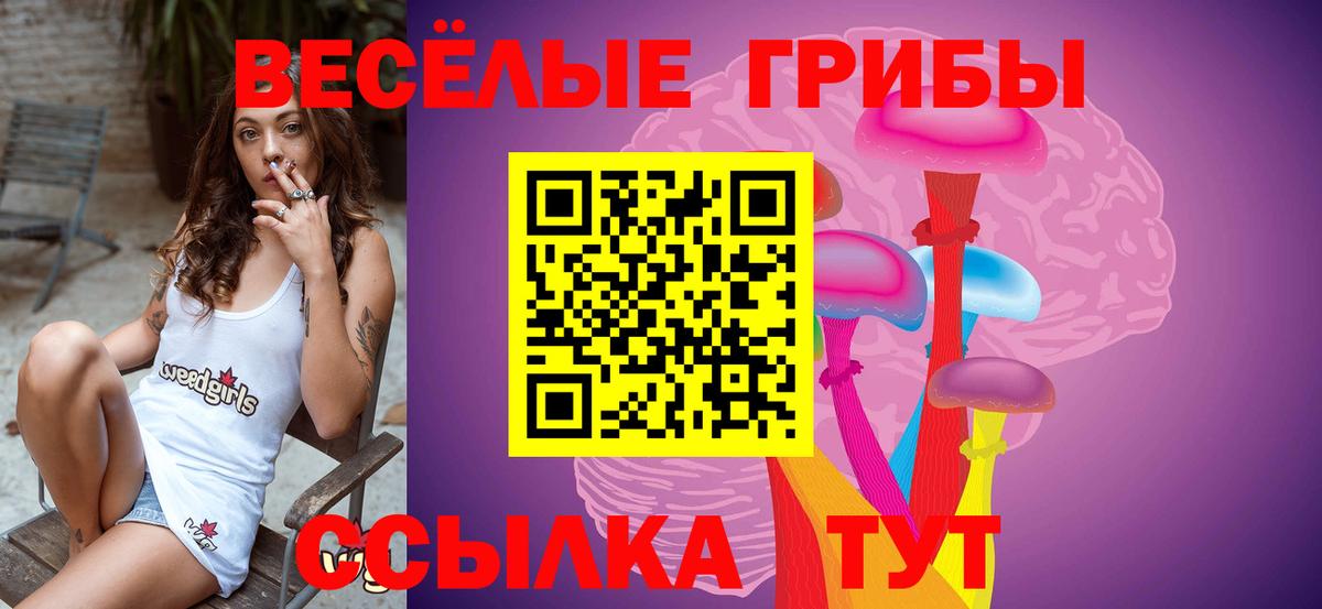 купить наркотик  Галлюциногенные грибы Magic Shrooms  Вход с VPN  Таганрог 