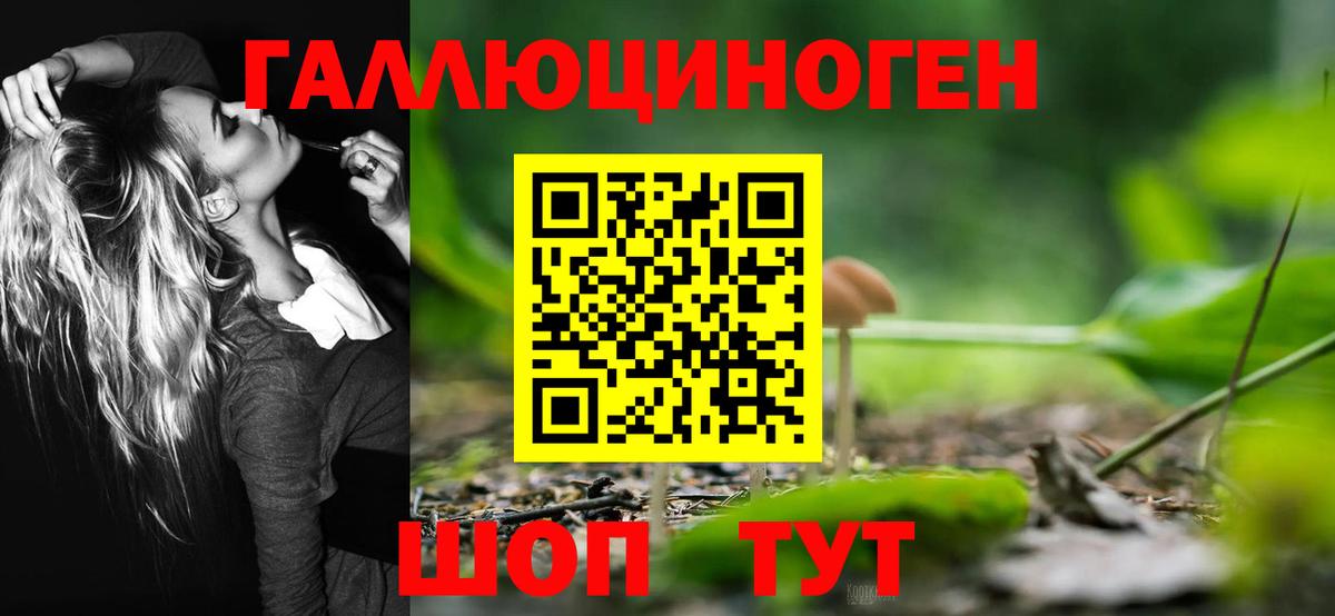 Галлюциногенные грибы мицелий Таганрог